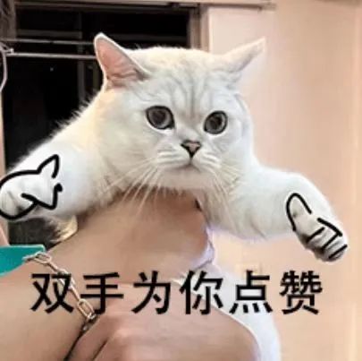 yl6776永利集团(中国游)有限公司官网
