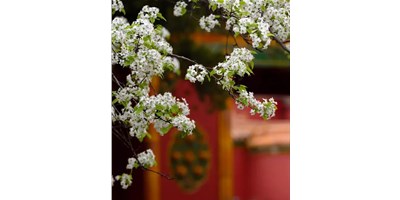 【展会资讯】yl6776永利集团精机5月展会一览，，，，，，等您来旅行！